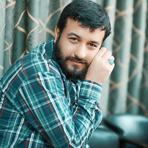 سید امیر حسینی آروم آروم پر میگیرم تو خیالم تا کربلا